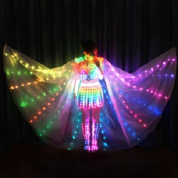 Full Color LED Magic Fairy Outfit