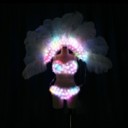 LED Light up Ostrich Feather Backpack