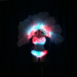 LED Light up Ostrich Feather Backpack