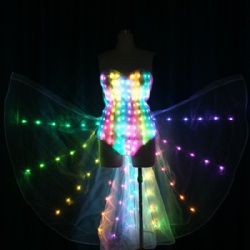 LED bikini with LED wings