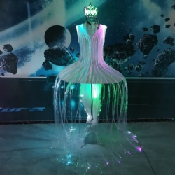 LED发光光纤芭蕾舞裙