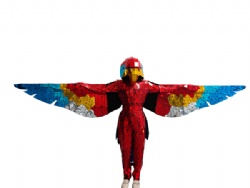 Colorful mirror parrot costume