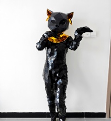 Mirror mirror black cat costume