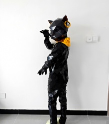 Mirror mirror black cat costume